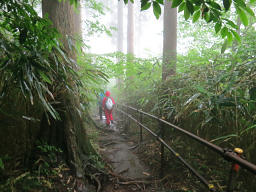 雨はいよいよ強くなる