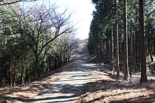 山道は防火帯