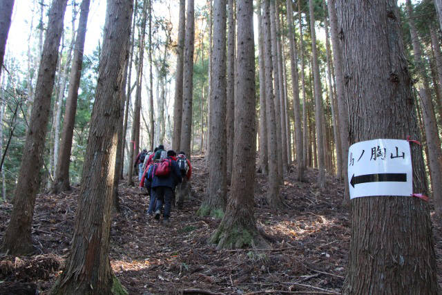 キャンプ場を通り抜けて植林帯へ