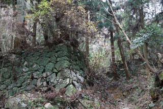 苔むした石垣