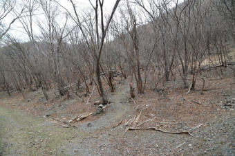 登山口には目印の類無し