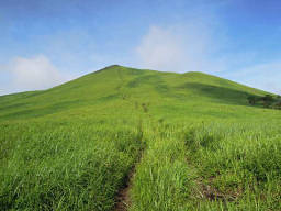 登山道は山頂まで一直線