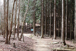 横高山手前の峠 