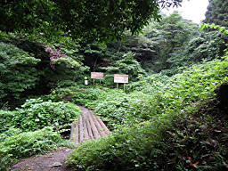 登山口から橋を渡る