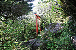 山頂直下の鳥居