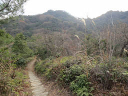 山頂の本丸が見えてくる