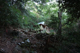 大国魂神社を通過する