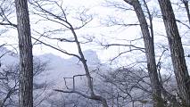 photo 192*128