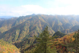 三笠山からの眺め