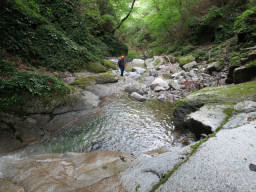 穏やかな沢