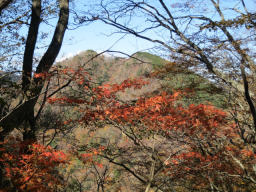 鶏ノ胸山を振り返る