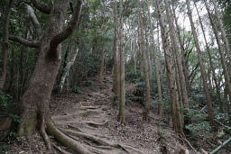 烏帽子山への登り返し