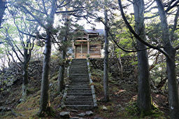 神社への階段を上る