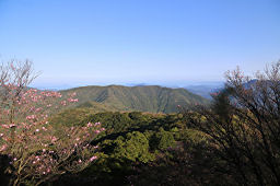 神社の裏手に山頂