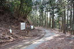 八瀬峠の林道を横切る