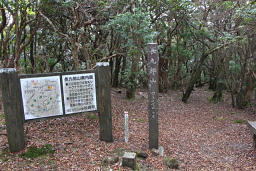 長九郎山頂上