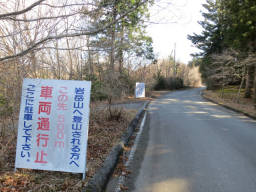 登山口までの長い林道を歩く