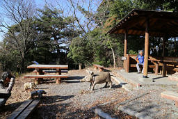 尉ヶ峰山頂