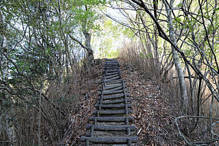 秘境の山でも整備されている