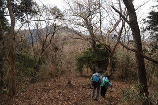 金山へ