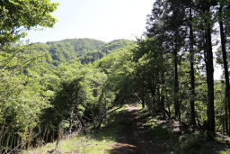 大山が見える