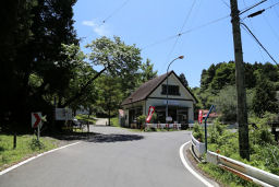 気まぐれ喫茶の左を進む