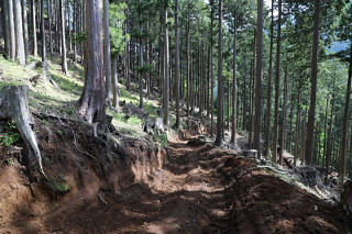 林道工事で山がえぐられている