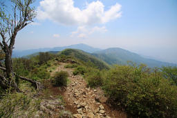 表尾根を大山方面へ