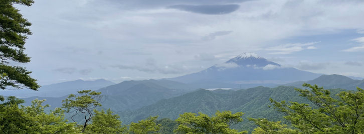 山頂からの眺め