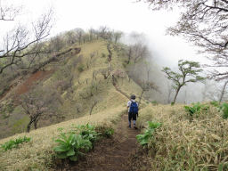 丹沢山へ