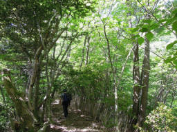 大室山へ向かいます