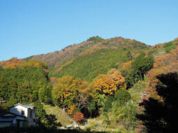 鐘ヶ岳は紅葉