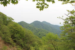 丹沢三峰の眺望