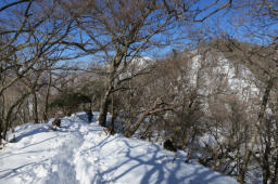 丹沢山まで足を伸ばす