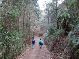 キャンプ場から山道に