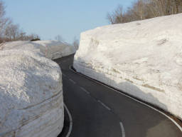 除雪されて雪の壁