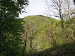 ようやく山頂が見えてくる山頂