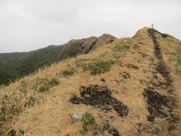 山頂が見えてきた