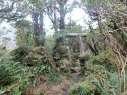 火口丘の浅間神社