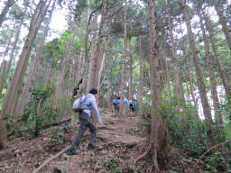 高尾山方面へ