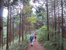 小仏峠を経て城山へ