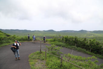 つづらの登り道