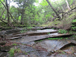 逆層のナメ