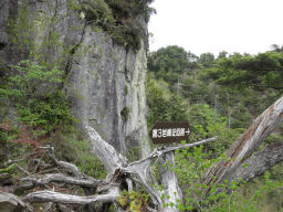 第三峰は巻いて登る