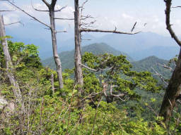 鶏冠山からの眺め