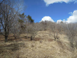 升形山の空