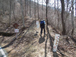 観音峠の先の登山口