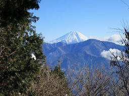 展望台からの富士