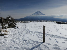 山梨百名山の標柱が立つ