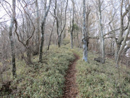 山頂に続く道